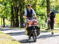 10e anniversaire de « carvelo »